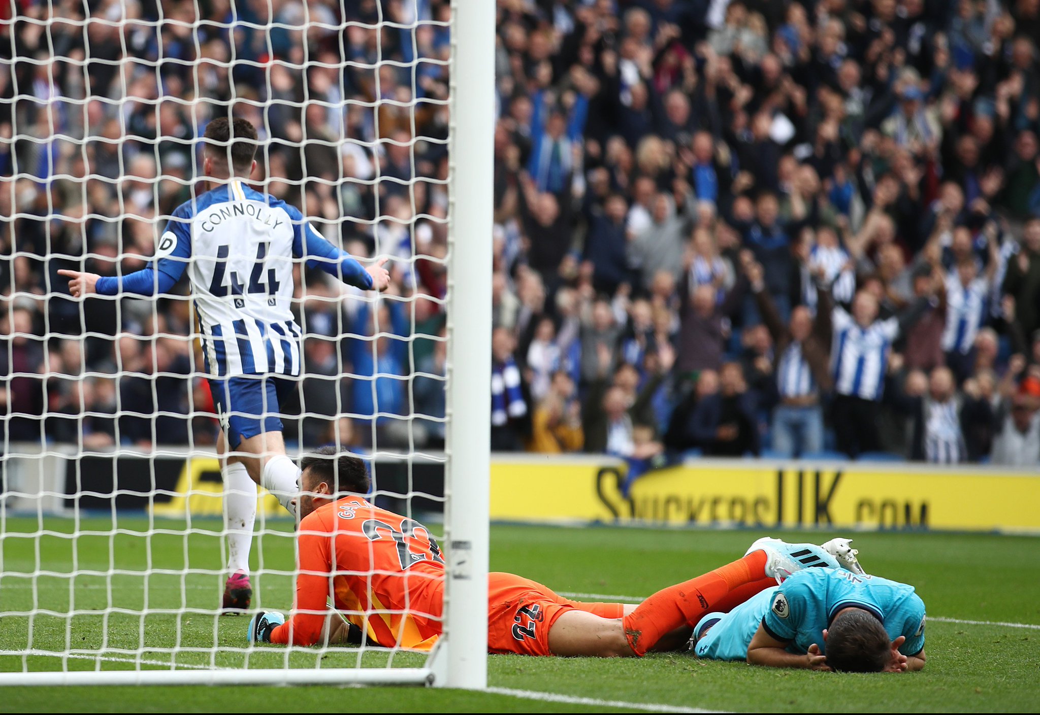 謝潑德善於 謝潑德善於